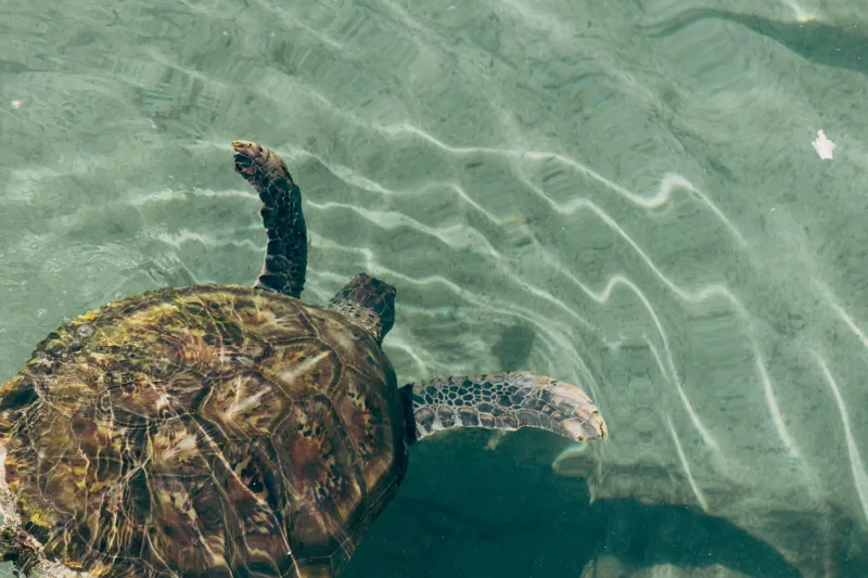 Shoot Better, Crowd Less: A Photographer's Real Guide to the Gili Islands