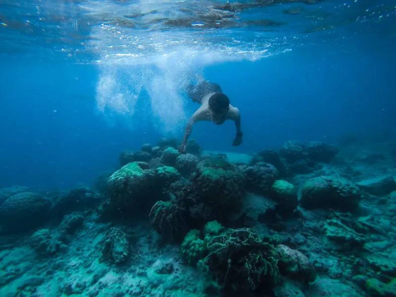 Are We Loving the Gili Islands to Death? What Every Traveler Needs to Know Before They Book