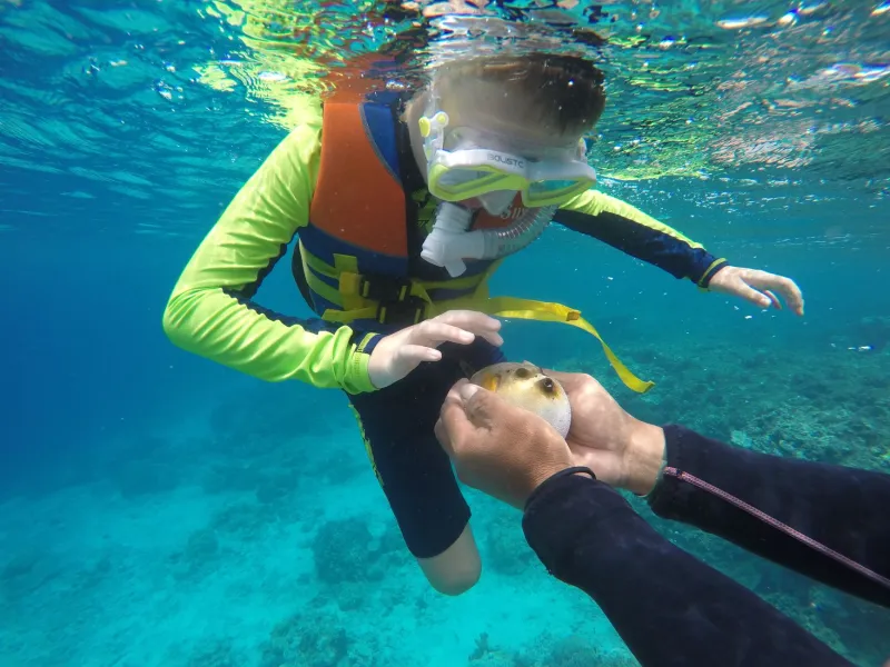 Car-Free and Kid-Approved: The Family Playbook for a Gili Islands Trip